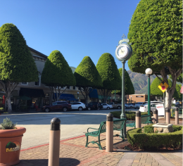 Small Town Feeling